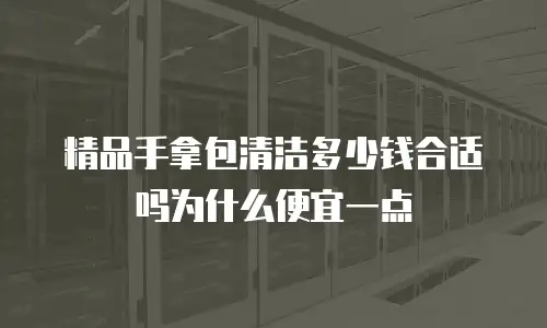 精品手拿包清洁多少钱合适吗为什么便宜一点