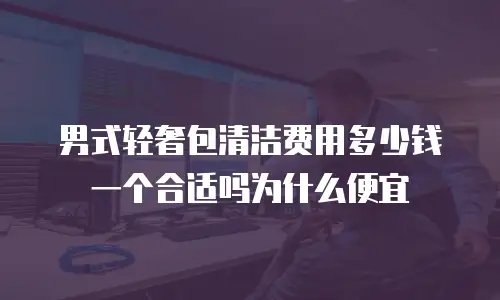 男式轻奢包清洁费用多少钱一个合适吗为什么便宜