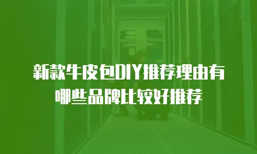 新款牛皮包DIY推荐理由有哪些品牌比较好推荐