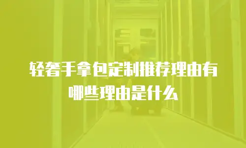 轻奢手拿包定制推荐理由有哪些理由是什么