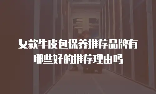 女款牛皮包保养推荐品牌有哪些好的推荐理由吗