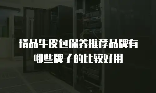 精品牛皮包保养推荐品牌有哪些牌子的比较好用