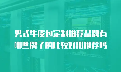 男式牛皮包定制推荐品牌有哪些牌子的比较好用推荐吗