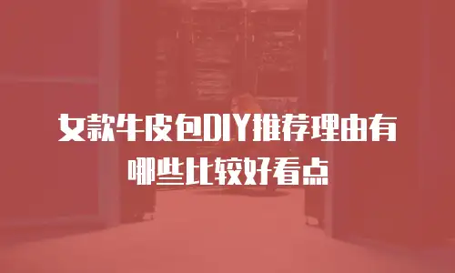 女款牛皮包DIY推荐理由有哪些比较好看点