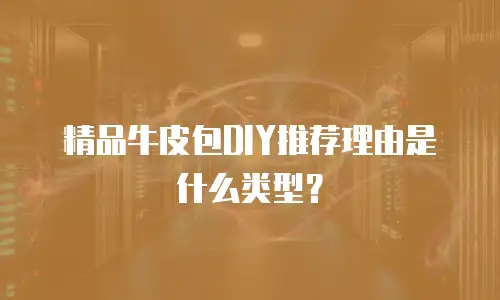 精品牛皮包DIY推荐理由是什么类型？
