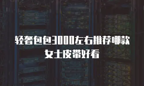 轻奢包包3000左右推荐哪款女士皮带好看