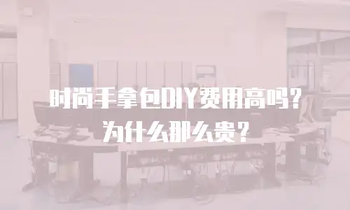 时尚手拿包DIY费用高吗？为什么那么贵？