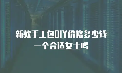 新款手工包DIY价格多少钱一个合适女士吗