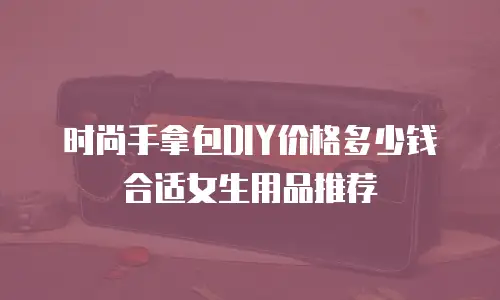 时尚手拿包DIY价格多少钱合适女生用品推荐