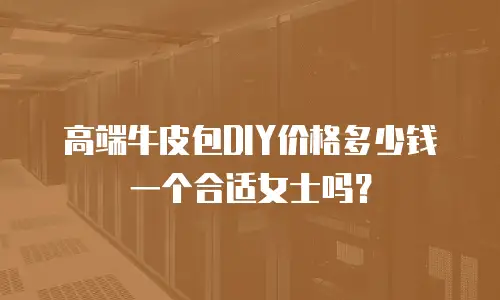高端牛皮包DIY价格多少钱一个合适女士吗？