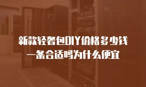 新款轻奢包DIY价格多少钱一条合适吗为什么便宜