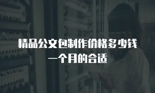 精品公文包制作价格多少钱一个月的合适