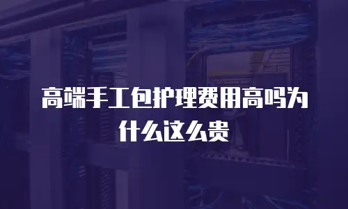 高端手工包护理费用高吗为什么这么贵