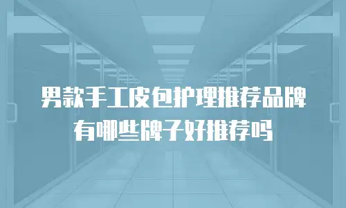 男款手工皮包护理推荐品牌有哪些牌子好推荐吗