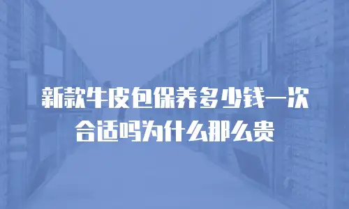 新款牛皮包保养多少钱一次合适吗为什么那么贵