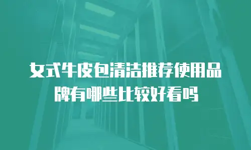女式牛皮包清洁推荐使用品牌有哪些比较好看吗