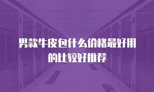 男款牛皮包什么价格最好用的比较好推荐
