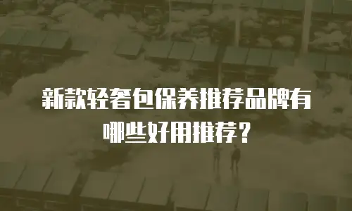 新款轻奢包保养推荐品牌有哪些好用推荐？