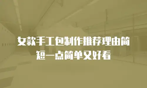 女款手工包制作推荐理由简短一点简单又好看