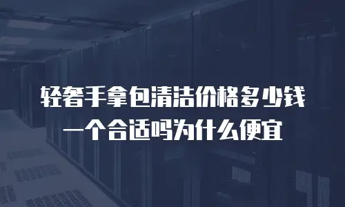 轻奢手拿包清洁价格多少钱一个合适吗为什么便宜