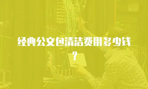 经典公文包清洁费用多少钱？