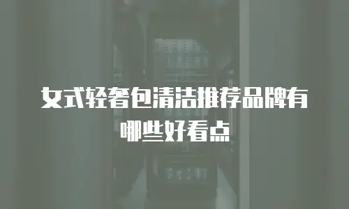 女式轻奢包清洁推荐品牌有哪些好看点