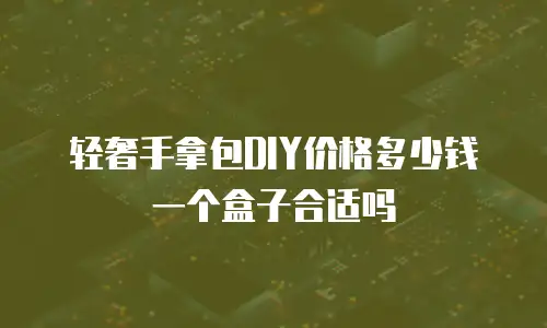 轻奢手拿包DIY价格多少钱一个盒子合适吗