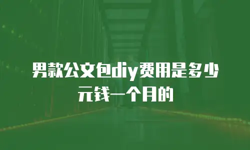 男款公文包diy费用是多少元钱一个月的