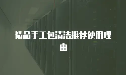 精品手工包清洁推荐使用理由