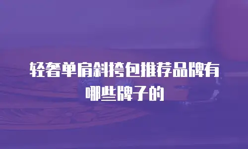 轻奢单肩斜挎包推荐品牌有哪些牌子的