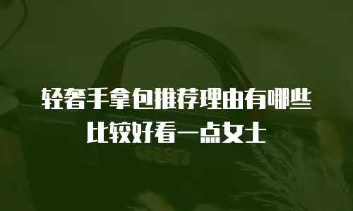 轻奢手拿包推荐理由有哪些比较好看一点女士