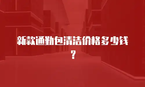 新款通勤包清洁价格多少钱？