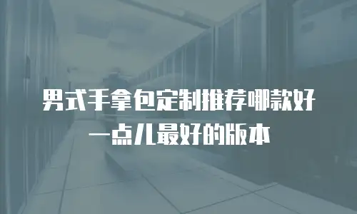 男式手拿包定制推荐哪款好一点儿最好的版本