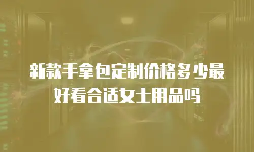 新款手拿包定制价格多少最好看合适女士用品吗