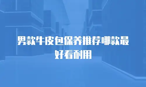 男款牛皮包保养推荐哪款最好看耐用