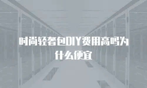 时尚轻奢包DIY费用高吗为什么便宜