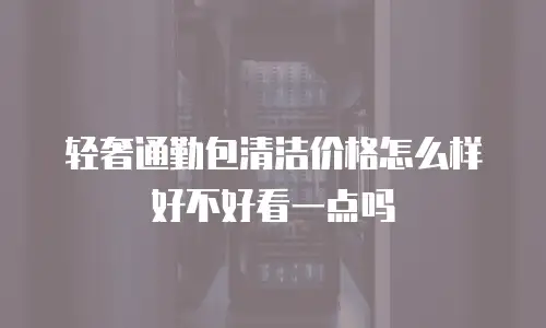 轻奢通勤包清洁价格怎么样好不好看一点吗