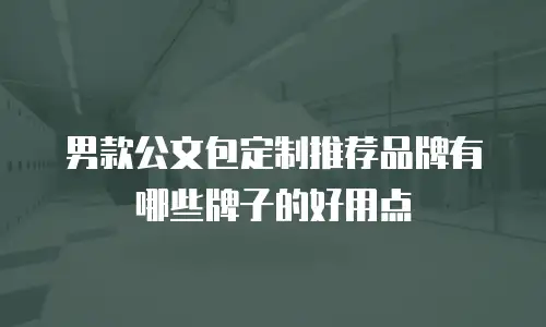 男款公文包定制推荐品牌有哪些牌子的好用点