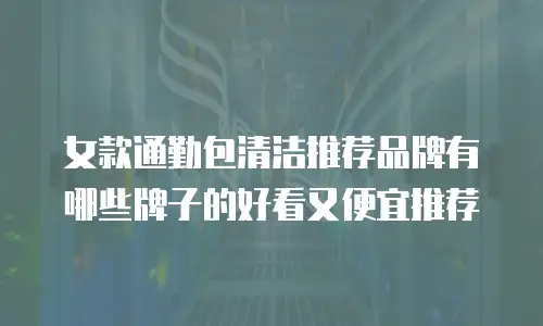 女款通勤包清洁推荐品牌有哪些牌子的好看又便宜推荐