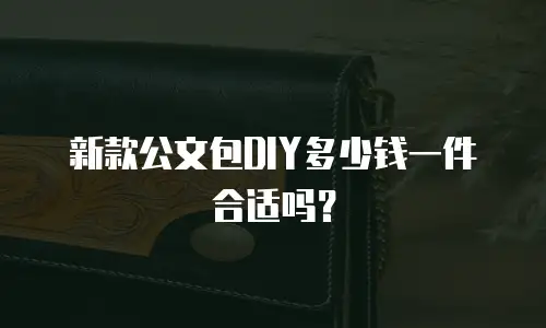 新款公文包DIY多少钱一件合适吗？
