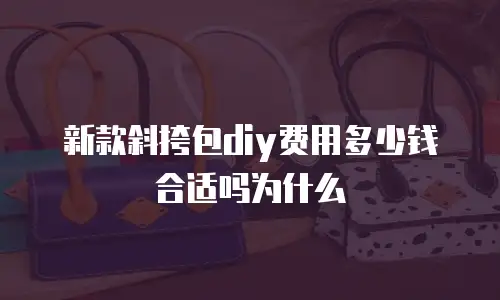 新款斜挎包diy费用多少钱合适吗为什么