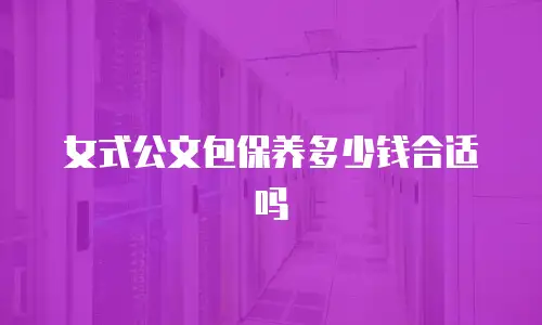 女式公文包保养多少钱合适吗