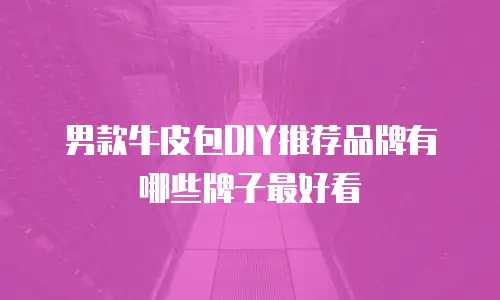 男款牛皮包DIY推荐品牌有哪些牌子最好看