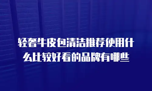 轻奢牛皮包清洁推荐使用什么比较好看的品牌有哪些
