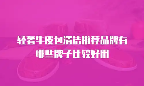 轻奢牛皮包清洁推荐品牌有哪些牌子比较好用