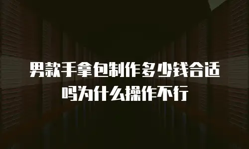 男款手拿包制作多少钱合适吗为什么操作不行