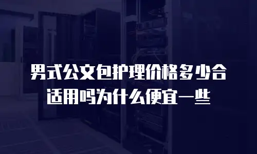 男式公文包护理价格多少合适用吗为什么便宜一些