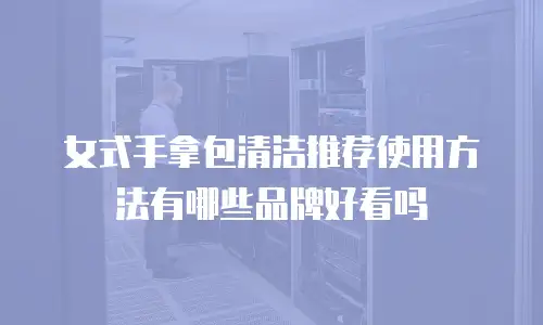 女式手拿包清洁推荐使用方法有哪些品牌好看吗