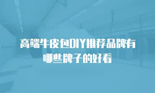 高端牛皮包DIY推荐品牌有哪些牌子的好看