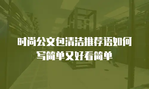 时尚公文包清洁推荐语如何写简单又好看简单
